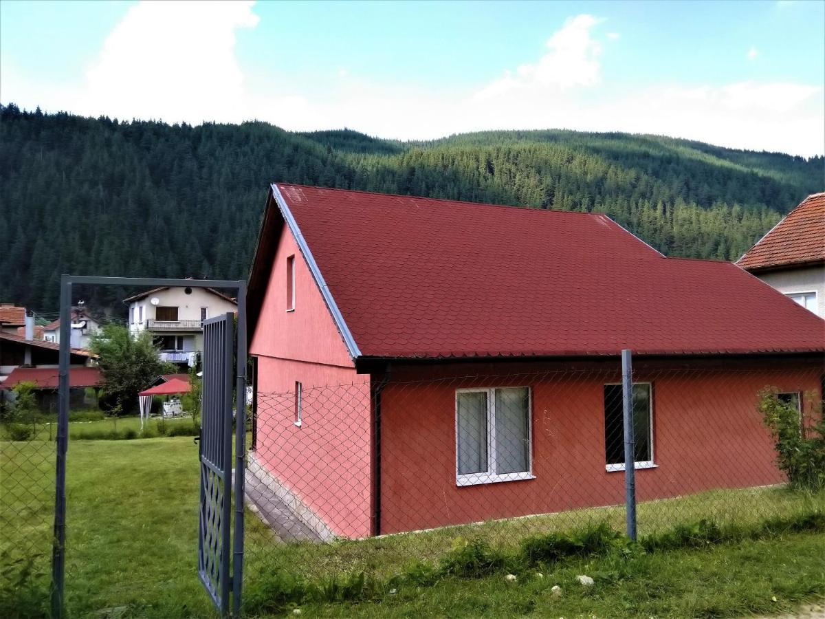 Irina - Ferienhaus *